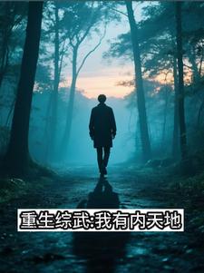 综武之满级神功无限升级